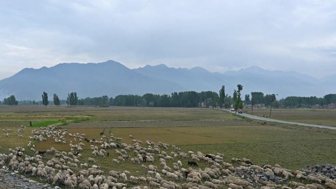 India Jammu and Kashmir AFP