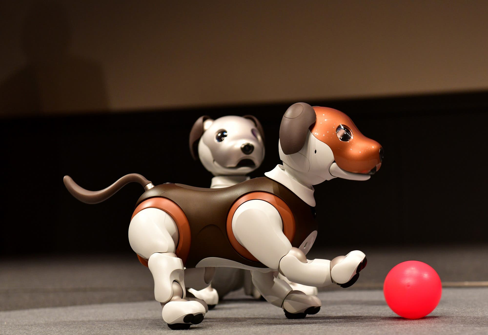 Aibo robot cheap dog 2019