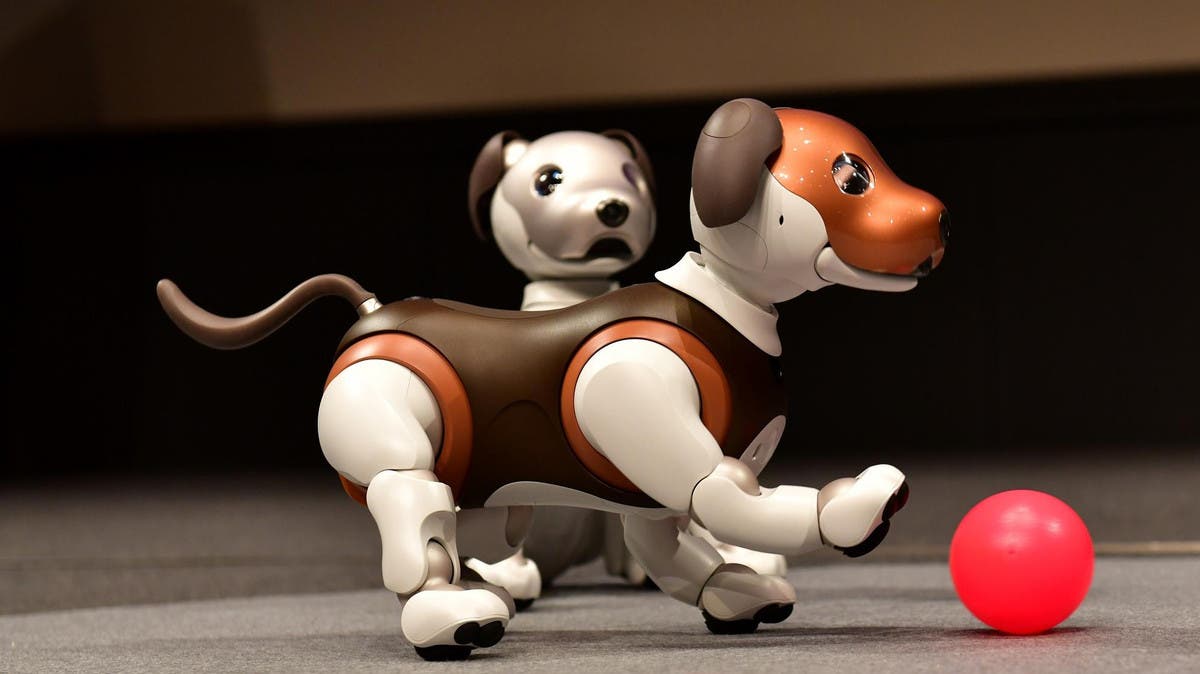 Best robot sales dog 2019