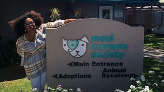 Oprah Winfrey visits Maui Humane Society following wildfire