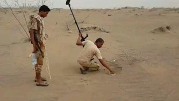 شاهد.. اكتشاف وتفكيك أكبر حقل ألغام حوثي في الحديدة