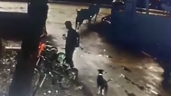 هجوم "ثوري" على طالب.. وفيديو وحشي يوثق