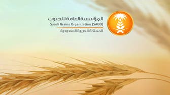 Saudi Arabia to start next phase of flour mill privatization