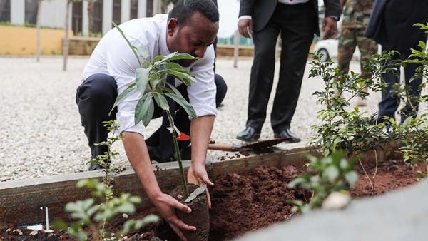 لمكافحة التصحر.. إثيوبيا تزرع 224 مليون شجرة في يوم واحد