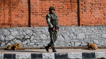 India soldier kashmir Pakistan lockdown dogs 2019 - AP