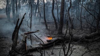 Ecological disaster on Greek island as fire burns on 