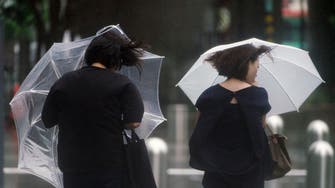 Typhoon blows across Tokyo area, killing one, halting travel
