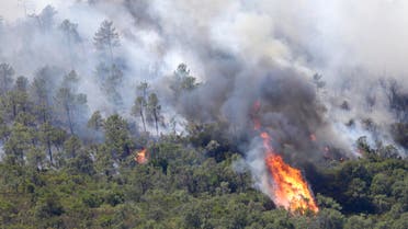 A forest fire rages on a hillside in the outskirts of La Londe-les-Maures on the French Riviera, Wednesday, July 26, 2017. (AP)