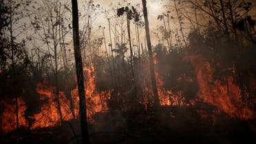 حرائق الأمازون- رويترز