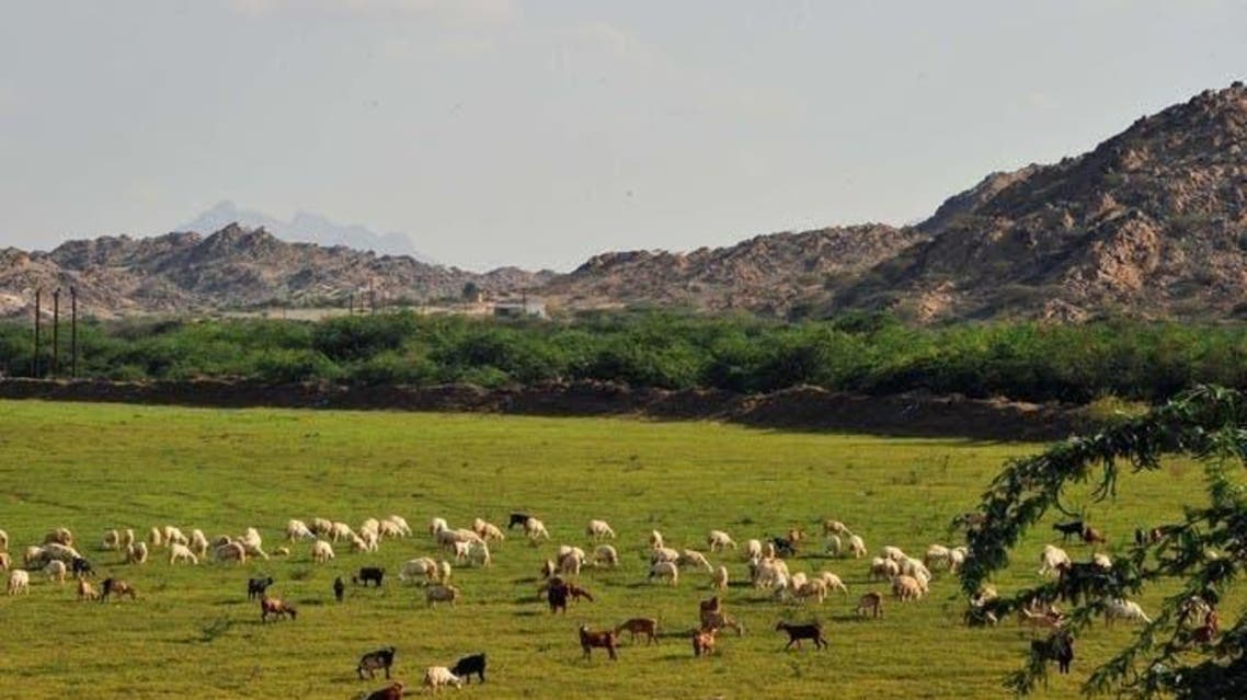 وادی یبہ