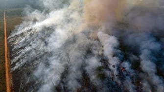 UK pledges $12.3 million for fire-ravaged Amazon         