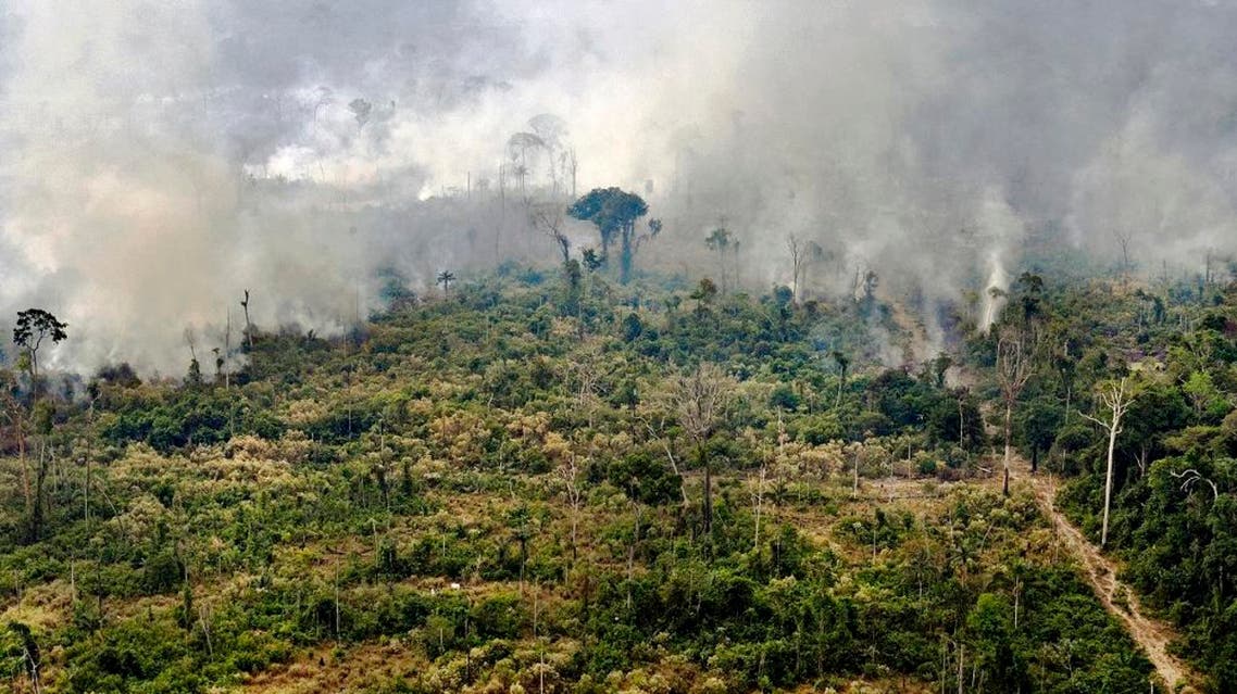 amazon forest fire. afp