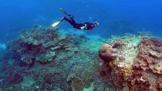 Great Barrier Reef should be listed as ‘in danger’, UN committee recommends
