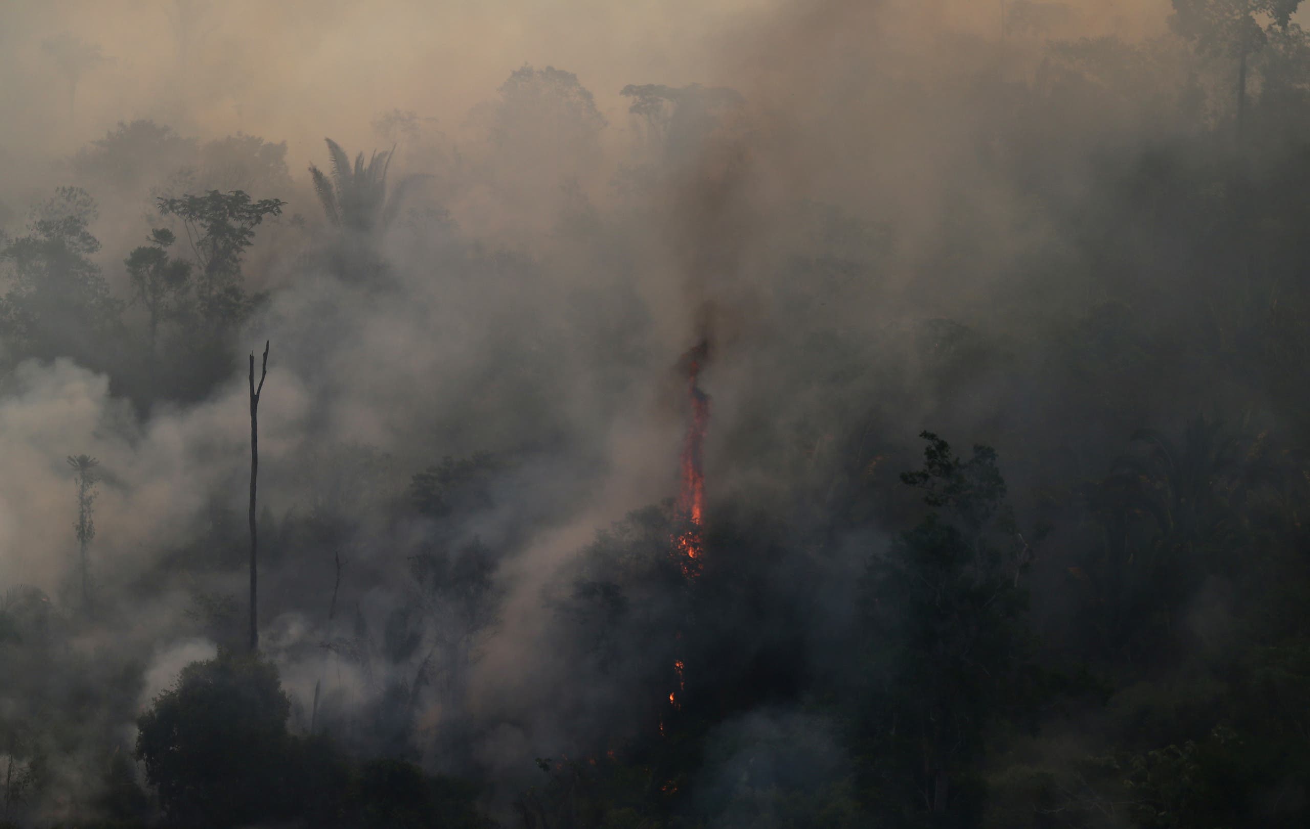 Ночью кидает в жар. Аномальная жара и пожары. Лесные пожары в Венесуэле. Пожары в джунглях амазонки. Лесные пожары в Бразилии статистика.
