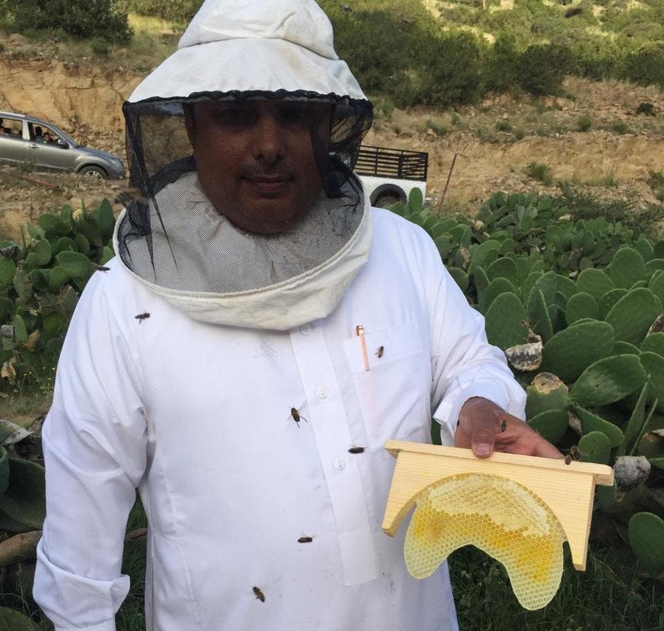 عائلة سعودية تعشق النحل منذ 50 عاماً.. تعرف على قصتها A6bd544d-7ddf-4a33-80d9-2221e12b57a0