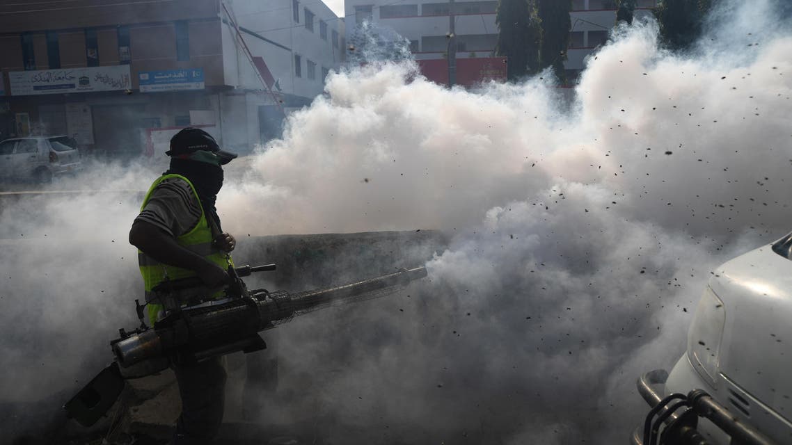 Flies overwhelm Pakistan’s Karachi (File: AFP)