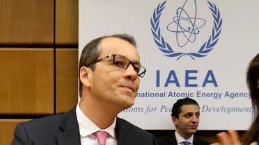 The acting director-general of the United Nations nuclear watchdog cornel feruta (AP)