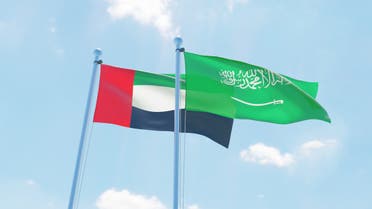 saudi uae emirates flag flags