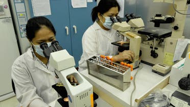 Philippines fever swine scientists - AFP