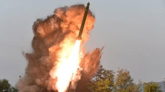N.Korea carried out super-large multiple rocket launcher test 