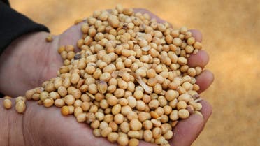 soybeans Chna soy farm agriculture - AFP