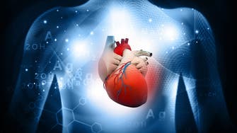 علماء ينسخون جزءا من القلب على طابعة ثلاثية الأبعاد