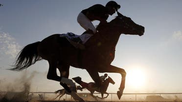 Horse race jockey - AFP