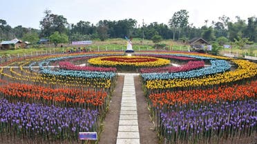 A garden made out of 30,000 plastic bottles shaped into tulips is created as part of the local government's efforts to raise environment awareness and attract tourism in Lamitan City. (Reuters)