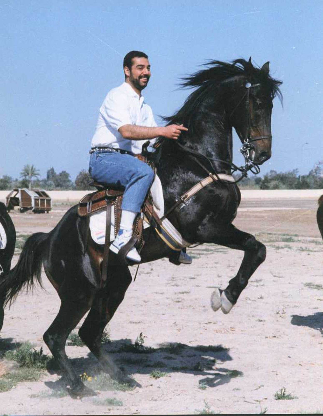 عدي صدام حسين