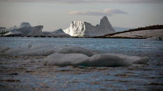 Russia discovers five Arctic islands uncovered by melting ice 