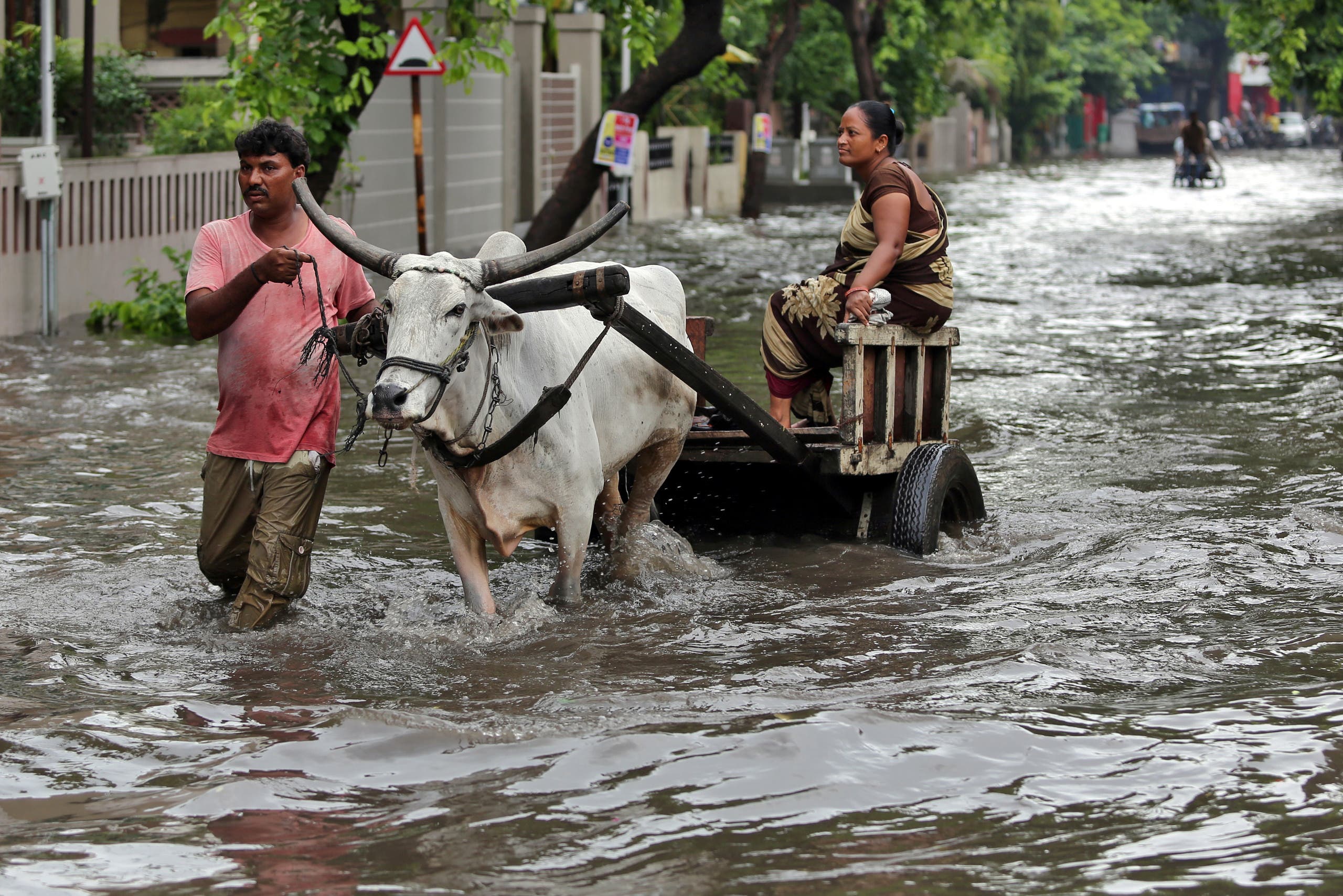أسوأ أمطار موسمية منذ 25 عاماً تقتل 1600 شخص بالهند E6b11add-c917-4131-8127-58aa892e1177