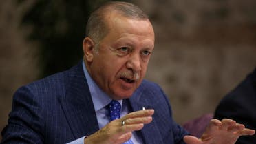 Turkish President Tayyip Erdogan talks to journalists in Istanbul. (Reuters)