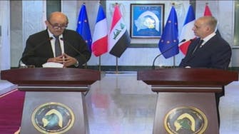 Iraqi FM calls on countries from which ISIS members came to act