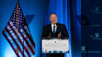 Pompeo says too early to judge Syria success 