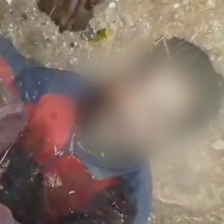 بعد أنباء عن مقتله.. العراق يبث فيديو لعملية البغدادي