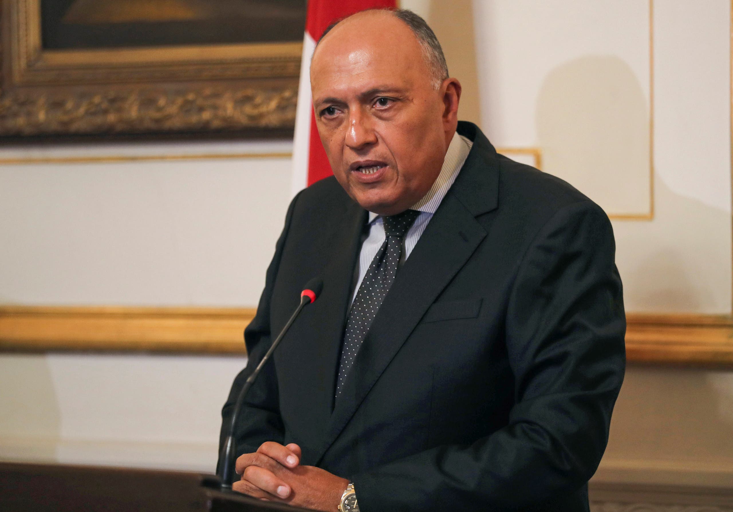 Egyptian Foreign Minister Sameh Shoukry speaks during a press conference in Cairo. (File photo: Reuters)