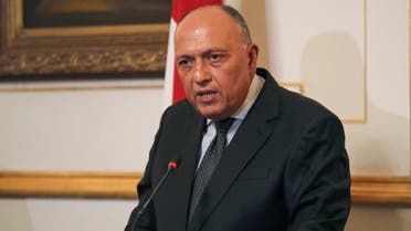 Egyptian Foreign Minister Sameh Shoukry speaks during a press conference with German Foreign Minister Heiko Maas in Cairo Egypt October 29 2019 REUTERS