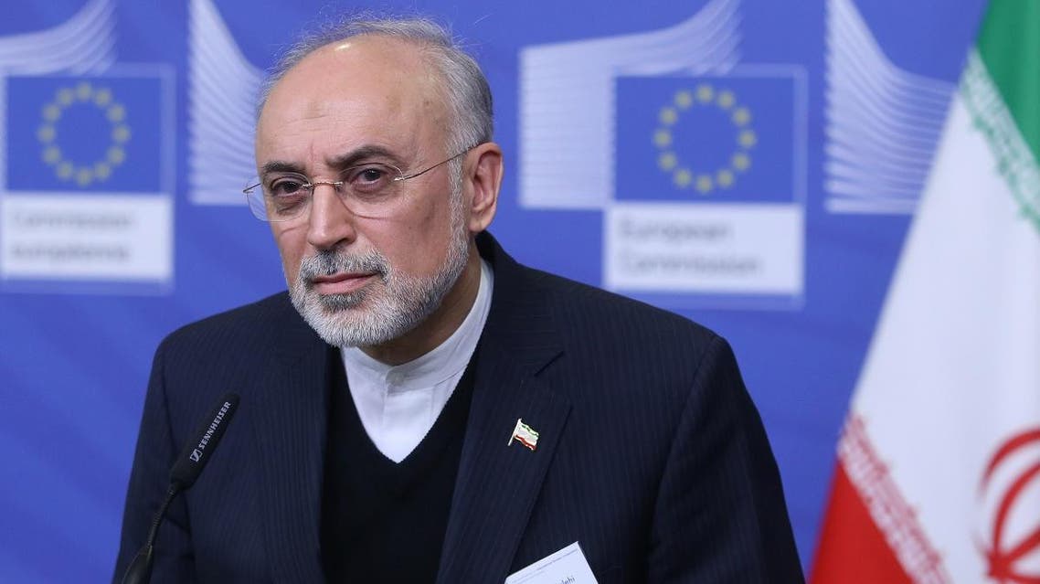 Ali Akbar Salehi gives a joint press conference with the Commissioner of the European Commission in charge of Climate Action and Energy, in Brussels on November 26, 2018. (File photo: AFP)