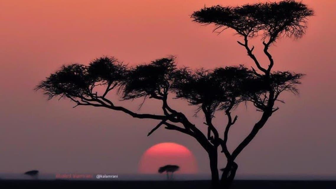 KSA: Tabuk city sunset