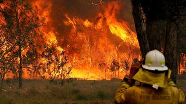 A firefighter on property protection watches the progress of bushfires in Old Bar, New South Wales, Australia November 9, 2019. (Reuters)