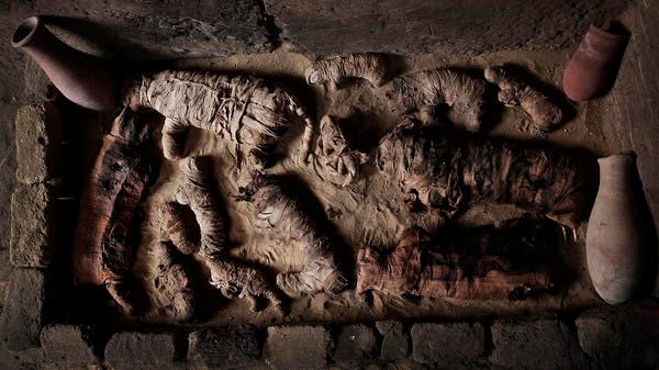 Egypt unveils animal mummies of lion cubs, crocodiles, birds | Al ...