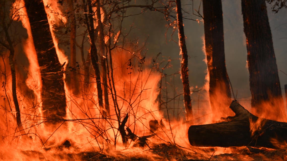 A bushfire burns outside a property near Taree, 350km north of Sydney on November 12, 2019. (AFP)