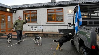 Polling station pooches bring light relief to UK election