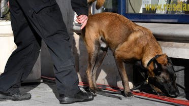 sniffer dog (AFP)
