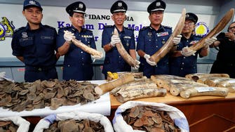 Vietnam seizes two tonnes of ivory and pangolin scales