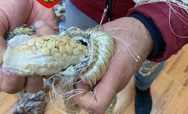 مخدرات مهربة من سوريا