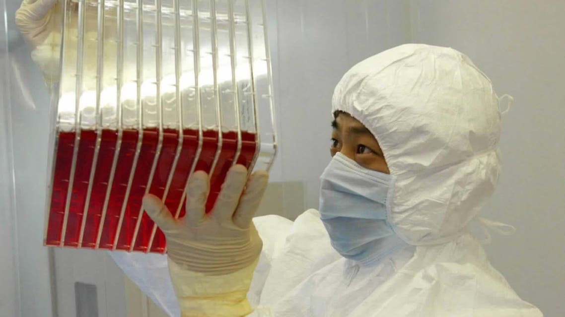 This undated photo shows a scientist observing experimental SARS vaccine living in a culture medium. (File photo: AP)
