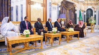 Saudi Arabia announces establishment of Red Sea, Gulf of Aden council 