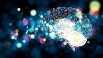الذكاء الاصطناعي يسرع تشخيص أورام الدماغ خلال الجراحات