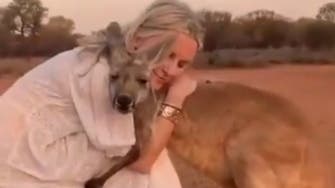 فيديو مؤثر.. كنغر يحتضن امرأة أنقذته من حرائق أستراليا